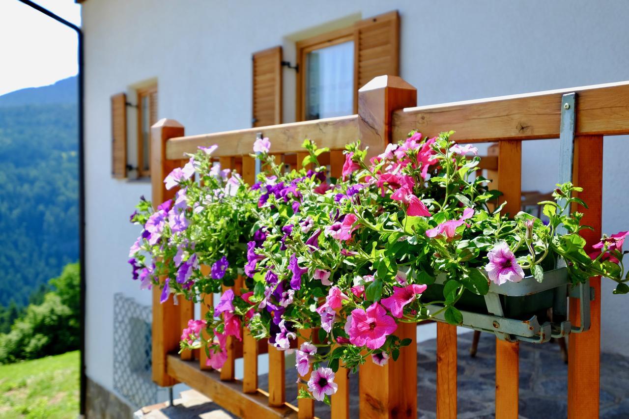 Agriturismo Reinhof San Felice  Exterior foto